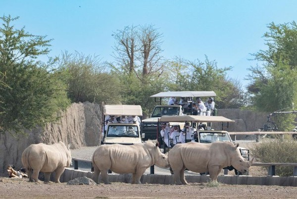 Sharjah Safari